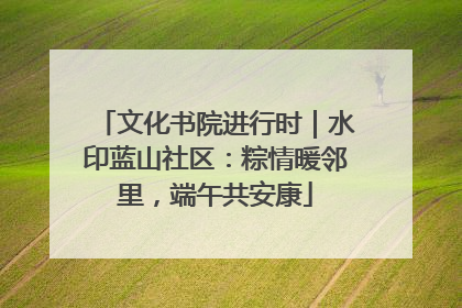 文化书院进行时｜水印蓝山社区：粽情暖邻里，端午共安康