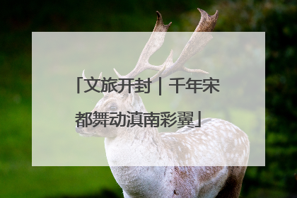 文旅开封｜千年宋都舞动滇南彩翼