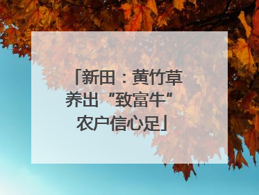 新田：黄竹草养出“致富牛” 农户信心足