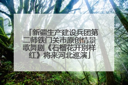 新疆生产建设兵团第二师铁门关市原创情景歌舞剧《石榴花开别样红》将来河北巡演