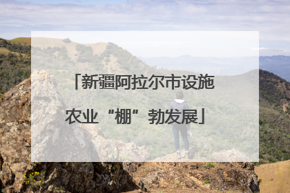 新疆阿拉尔市设施农业“棚”勃发展