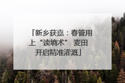 新乡获嘉：春管用上“读墒术” 麦田开启精准灌溉