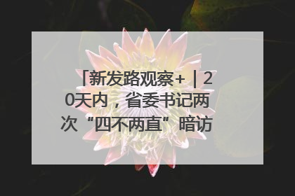 新发路观察+｜20天内，省委书记两次“四不两直”暗访，有何深意？