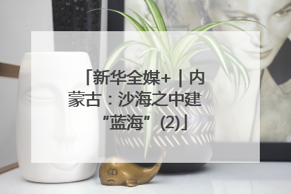 新华全媒+｜内蒙古：沙海之中建“蓝海”(2)