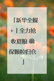 新华全媒+丨全力抢收夏粮 确保颗粒归仓