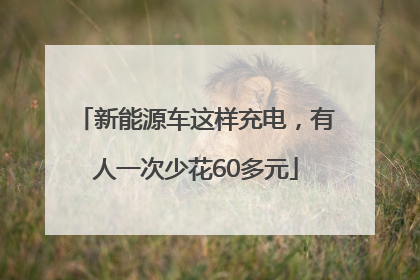 新能源车这样充电，有人一次少花60多元
