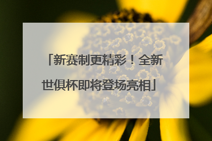 新赛制更精彩！全新世俱杯即将登场亮相