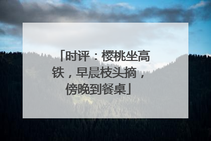 时评：樱桃坐高铁，早晨枝头摘，傍晚到餐桌