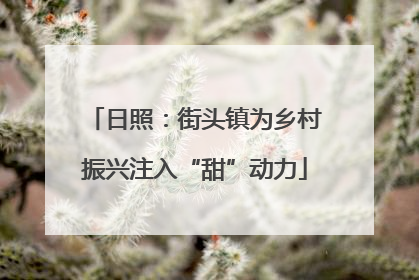 日照：街头镇为乡村振兴注入“甜”动力