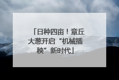 日种四亩！章丘大葱开启“机械插秧”新时代