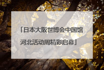 日本大阪世博会中国馆河北活动周精彩启幕