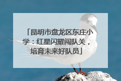 昆明市盘龙区东庄小学：红星闪耀闯队关，培育未来好队员