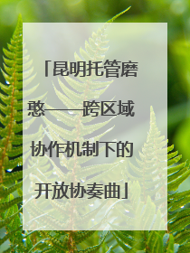 昆明托管磨憨——跨区域协作机制下的开放协奏曲