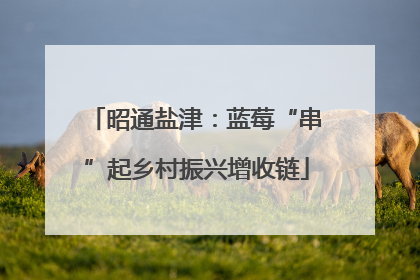 昭通盐津：蓝莓“串”起乡村振兴增收链