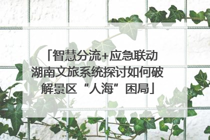智慧分流+应急联动 湖南文旅系统探讨如何破解景区“人海”困局