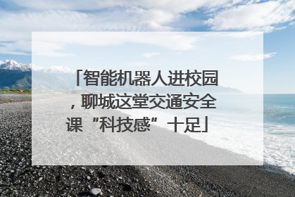 智能机器人进校园，聊城这堂交通安全课“科技感”十足