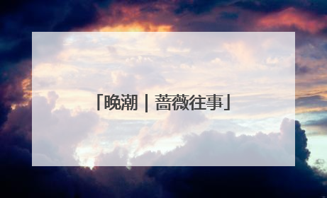 晚潮｜蔷薇往事