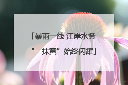 暴雨一线 江岸水务“一抹黄”始终闪耀