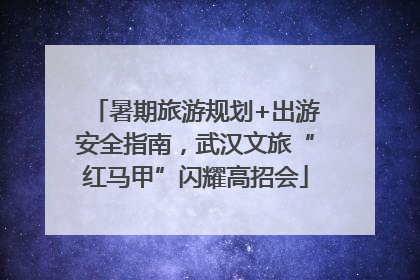 暑期旅游规划+出游安全指南，武汉文旅“红马甲”闪耀高招会