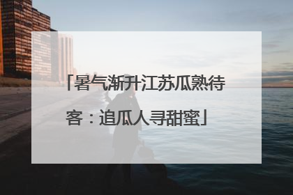 暑气渐升江苏瓜熟待客：追瓜人寻甜蜜