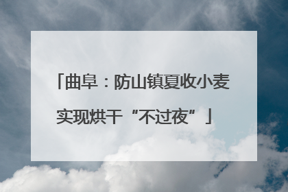曲阜：防山镇夏收小麦实现烘干“不过夜”