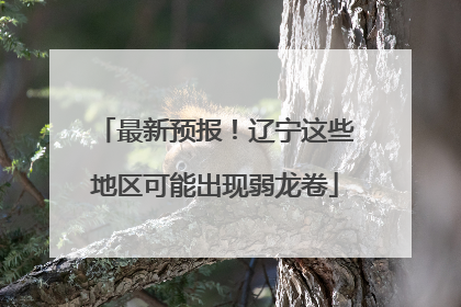 最新预报！辽宁这些地区可能出现弱龙卷