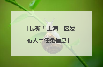 最新！上海一区发布人事任免信息