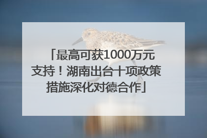 最高可获1000万元支持！湖南出台十项政策措施深化对德合作