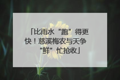 比雨水“跑”得更快！慈溪梅农与天争“鲜”忙抢收