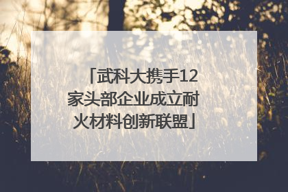 武科大携手12家头部企业成立耐火材料创新联盟
