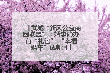 武城“新风公益商圈联盟”：婚事简办有“礼包” “幸福婚车”成新潮