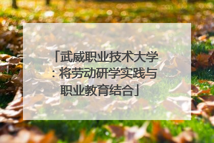 武威职业技术大学：将劳动研学实践与职业教育结合