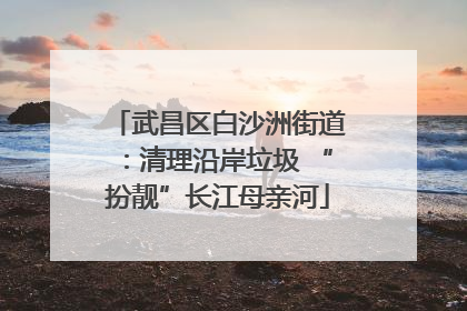 武昌区白沙洲街道：清理沿岸垃圾 “扮靓”长江母亲河