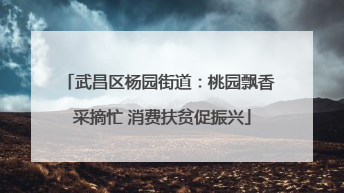 武昌区杨园街道：桃园飘香采摘忙 消费扶贫促振兴