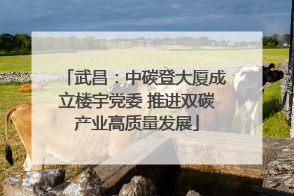 武昌：中碳登大厦成立楼宇党委 推进双碳产业高质量发展