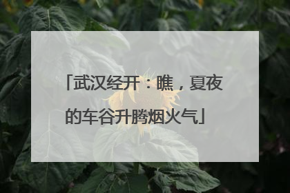武汉经开：瞧，夏夜的车谷升腾烟火气