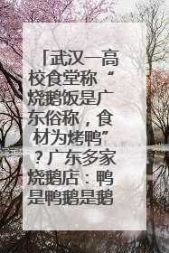 武汉一高校食堂称“烧鹅饭是广东俗称，食材为烤鸭”？广东多家烧鹅店：鸭是鸭鹅是鹅