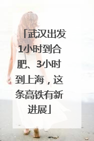 武汉出发1小时到合肥、3小时到上海，这条高铁有新进展