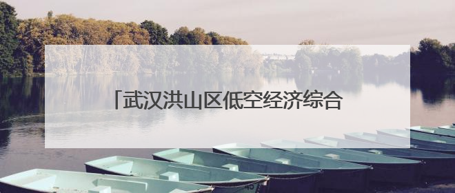 武汉洪山区低空经济综合试验区建设启动，“1+4+1”产业布局初现