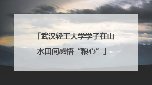 武汉轻工大学学子在山水田间感悟“粮心”