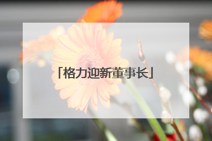 格力迎新董事长