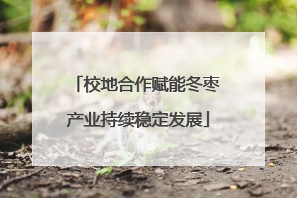 校地合作赋能冬枣产业持续稳定发展