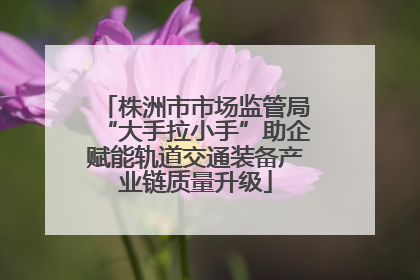 株洲市市场监管局“大手拉小手”助企赋能轨道交通装备产业链质量升级
