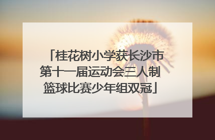 桂花树小学获长沙市第十一届运动会三人制篮球比赛少年组双冠
