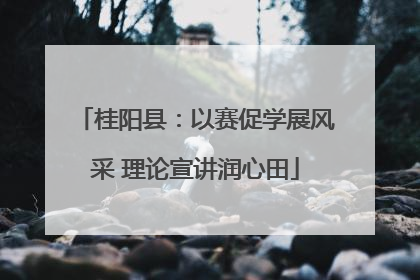 桂阳县：以赛促学展风采 理论宣讲润心田