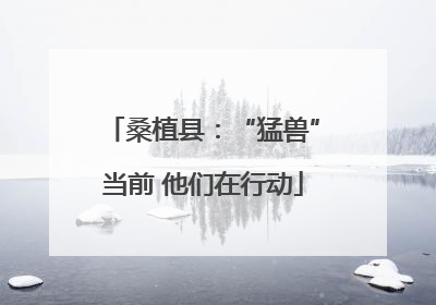 桑植县：“猛兽”当前 他们在行动