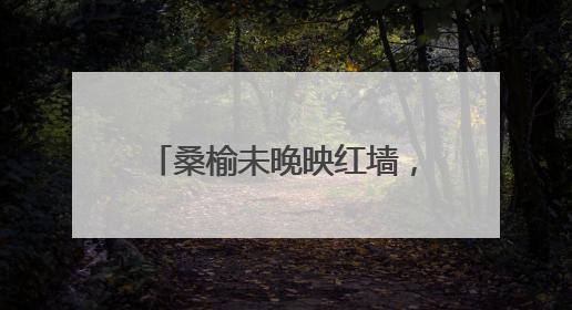 桑榆未晚映红墙，西城区组织社管退休人员开展主题宣讲