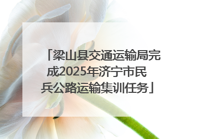 梁山县交通运输局完成2025年济宁市民兵公路运输集训任务