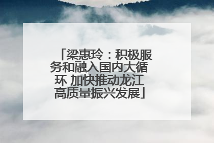 梁惠玲：积极服务和融入国内大循环 加快推动龙江高质量振兴发展