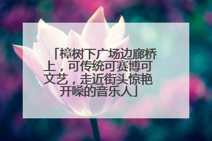 樟树下广场边廊桥上，可传统可赛博可文艺，走近街头惊艳开嗓的音乐人